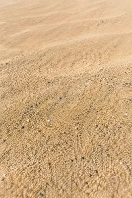 Golden Beach Sand Close Up Texture