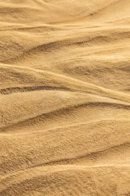 Golden Beach Sand Ripple Texture Background