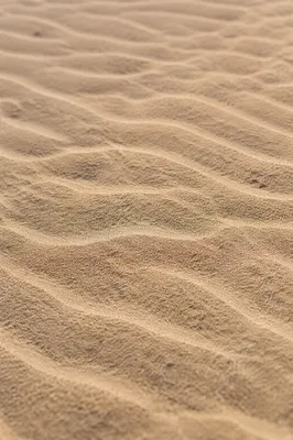 Fine Beach Sand Ripple Texture