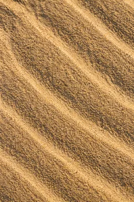 Golden Beach Sand Ripple Texture