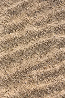 Sunlit Beach Sand Texture Background