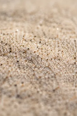 Photoreal Beach Sand Texture Background