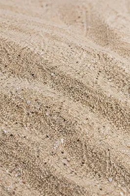 Photorealistic Beach Sand Texture Close Up