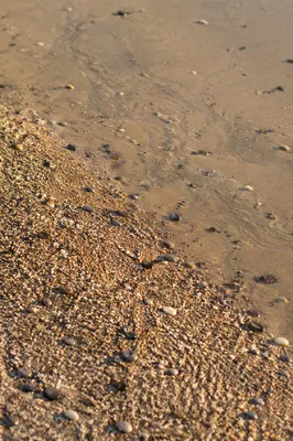 Coastal Sand Texture with Natural Details