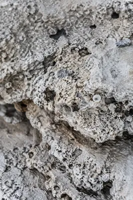 Weathered Beach Sand Macro Texture Background