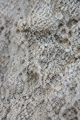 Coarse Beach Sand Macro Texture Background