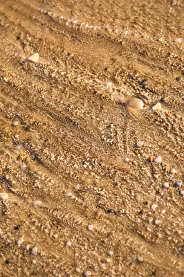 Peaceful Macro Beach Sand Texture