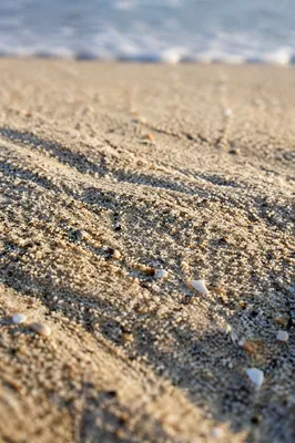Macro Beach Sand Texture in Morning Light