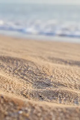 Close Up Beach Sand Texture