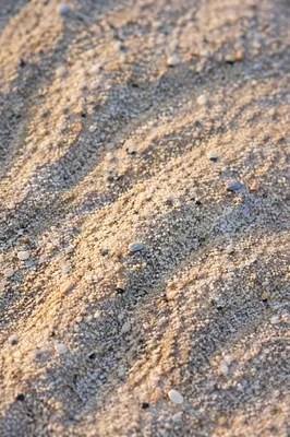 Peaceful Macro Beach Sand Texture