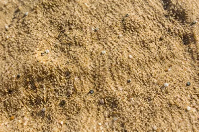Macro Beach Sand Texture Background