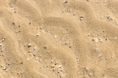Golden Beach Sand Texture Close Up