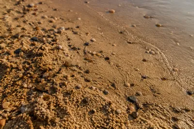 Golden Beach Sand Macro Background