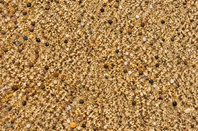 Photorealistic Beach Sand Macro Texture Background