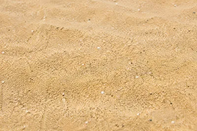 Photorealistic Golden Beach Sand Texture