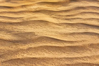 Golden Beach Sand Ripple Texture Background