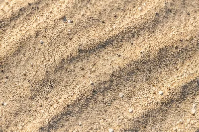 Sunlit Beach Sand Texture Background