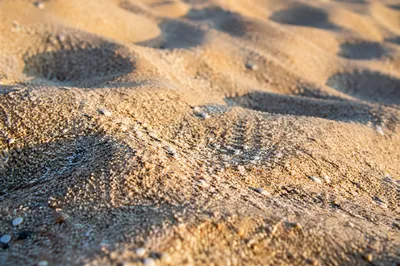 Golden Beach Sand Texture Close Up