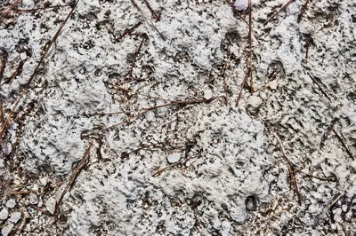 Quiet Beach Sand and Limestone Texture