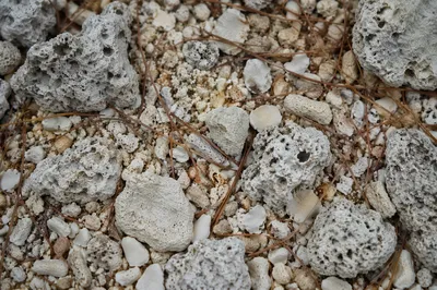 Macro Beach Sand and Limestone Texture
