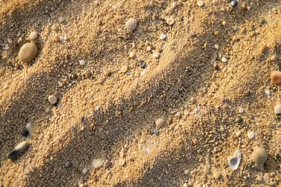 Peaceful Macro Beach Sand Texture
