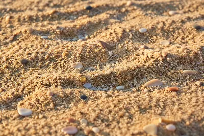 Close Up Beach Sand Texture at Sunrise