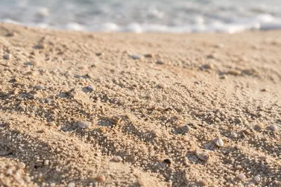 Macro Beach Sand Texture with Morning Light