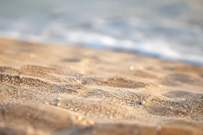 Macro Beach Sand with Morning Sea Foam