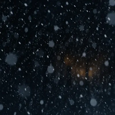 Soft Christmas Snow on Dark Night