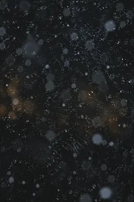 Soft Snowfall on Dark Christmas Night