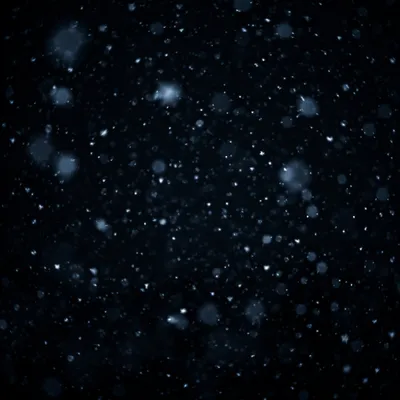 Soft Snowfall on Dark Christmas Night