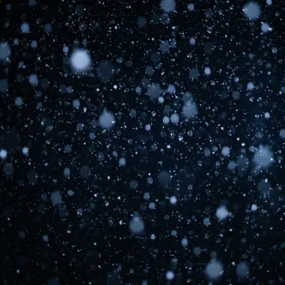 Soft Snowfall on Dark Christmas Night