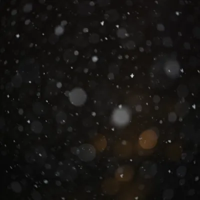 Soft Falling Snow on Dark Christmas Night