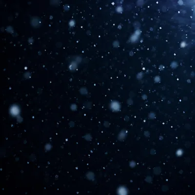 Soft Falling Snow on Dark Christmas Night