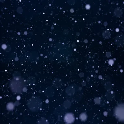 Soft Falling Snow on Midnight Navy