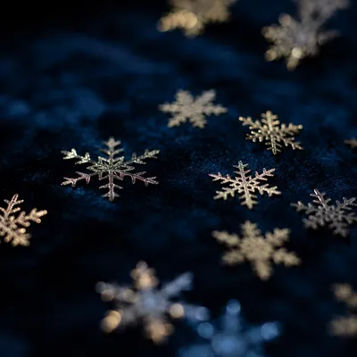 Soft Falling Snowflakes on Midnight Velvet