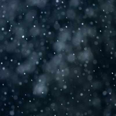 Soft Snowfall on Dark Christmas Background