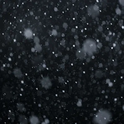 Soft Falling Snow on Dark Christmas Background