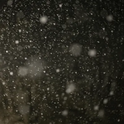 Soft Falling Snow on Dark Christmas Night