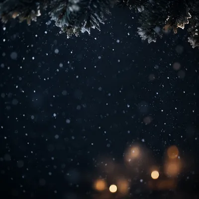 Soft Snowfall on a Quiet Christmas Night