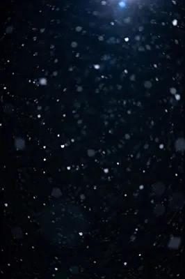 Soft Snowfall on Dark Christmas Night