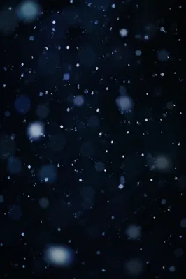 Soft Snowfall on Dark Christmas Night