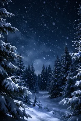 Soft Snowfall Over Twilight Evergreen Forest