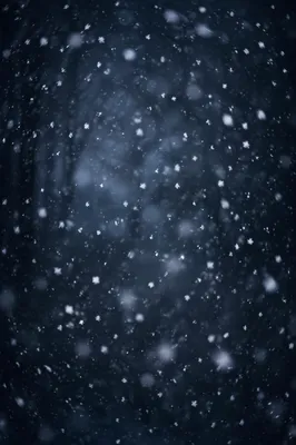 Soft Falling Snow on Dark Christmas Background