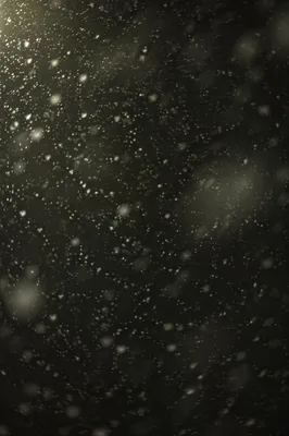 Soft Snowfall on Dark Christmas Night
