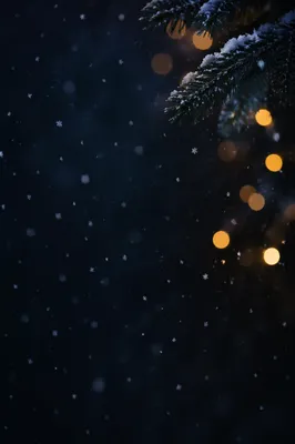 Soft Falling Snow on Dark Christmas Night