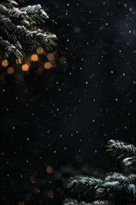 Soft Falling Snow Christmas Night Background