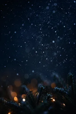 Soft Snowfall on Dark Christmas Night