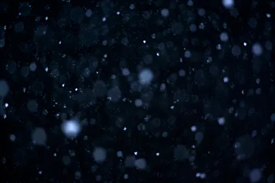 Soft Falling Snow on Dark Christmas Night
