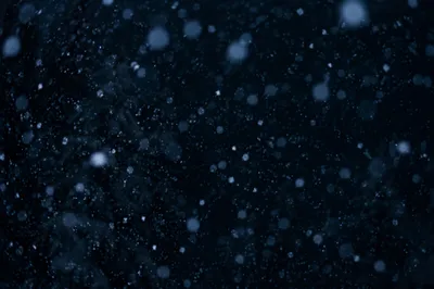 Soft Snowfall on Dark Christmas Night